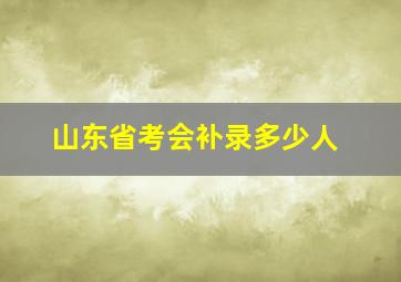 山东省考会补录多少人