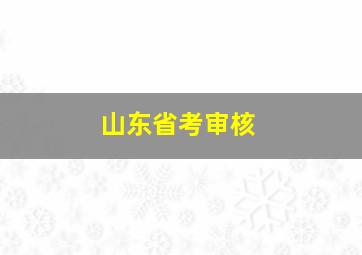 山东省考审核