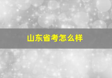 山东省考怎么样