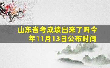 山东省考成绩出来了吗今年11月13日公布时间