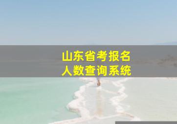 山东省考报名人数查询系统