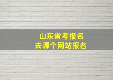 山东省考报名去哪个网站报名