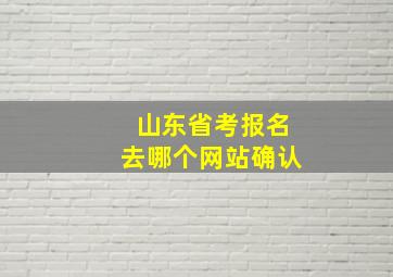 山东省考报名去哪个网站确认