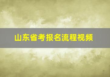 山东省考报名流程视频