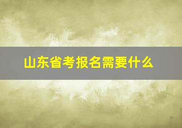 山东省考报名需要什么