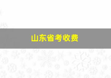 山东省考收费