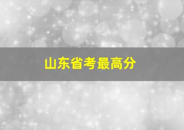 山东省考最高分