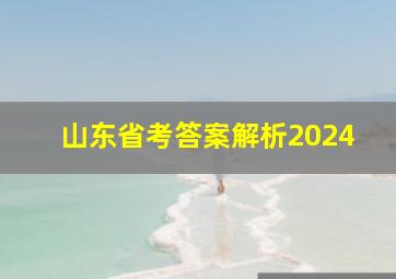 山东省考答案解析2024