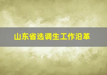 山东省选调生工作沿革