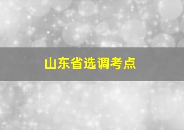 山东省选调考点