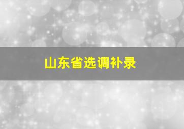 山东省选调补录