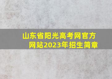 山东省阳光高考网官方网站2023年招生简章