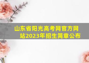 山东省阳光高考网官方网站2023年招生简章公布