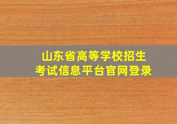 山东省高等学校招生考试信息平台官网登录