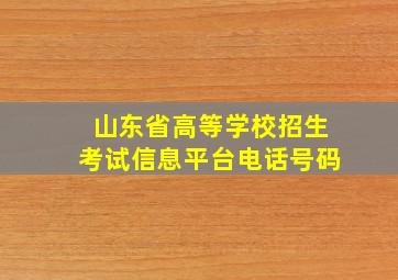 山东省高等学校招生考试信息平台电话号码