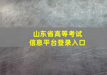 山东省高等考试信息平台登录入口