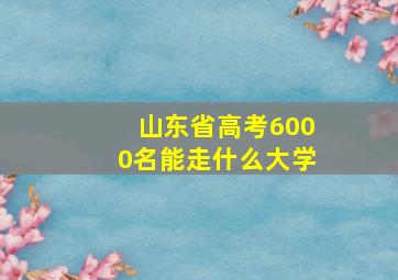 山东省高考6000名能走什么大学