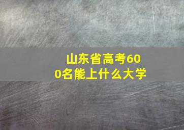 山东省高考600名能上什么大学