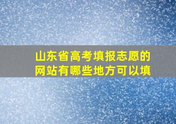 山东省高考填报志愿的网站有哪些地方可以填