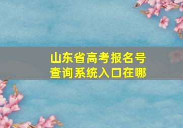 山东省高考报名号查询系统入口在哪