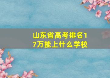 山东省高考排名17万能上什么学校