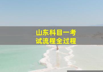 山东科目一考试流程全过程