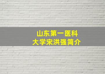 山东第一医科大学宋洪强简介