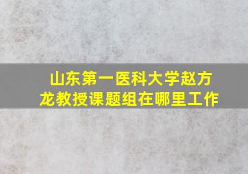 山东第一医科大学赵方龙教授课题组在哪里工作