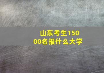 山东考生15000名报什么大学