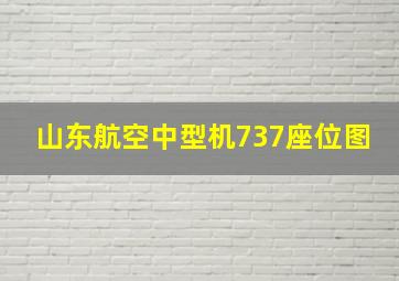 山东航空中型机737座位图