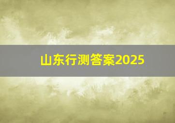 山东行测答案2025