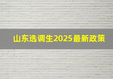 山东选调生2025最新政策