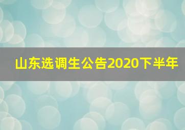 山东选调生公告2020下半年