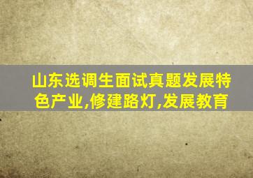 山东选调生面试真题发展特色产业,修建路灯,发展教育