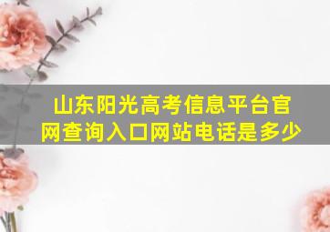 山东阳光高考信息平台官网查询入口网站电话是多少