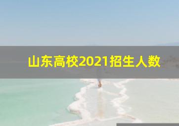 山东高校2021招生人数