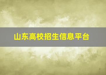 山东高校招生信息平台