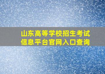 山东高等学校招生考试信息平台官网入口查询