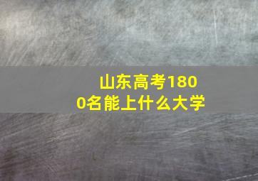 山东高考1800名能上什么大学