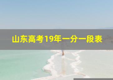 山东高考19年一分一段表