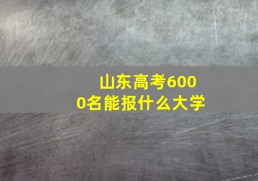 山东高考6000名能报什么大学