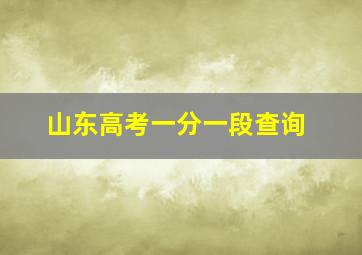 山东高考一分一段查询