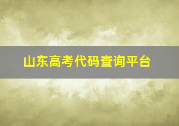 山东高考代码查询平台