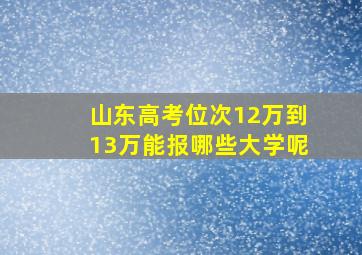 山东高考位次12万到13万能报哪些大学呢