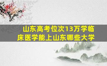 山东高考位次13万学临床医学能上山东哪些大学