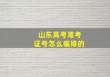 山东高考准考证号怎么编排的