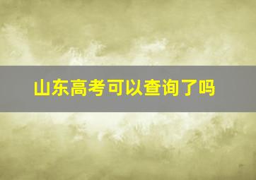 山东高考可以查询了吗