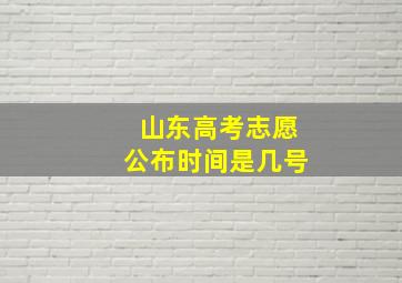 山东高考志愿公布时间是几号