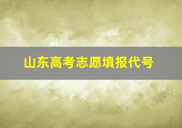 山东高考志愿填报代号