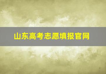 山东高考志愿填报官网